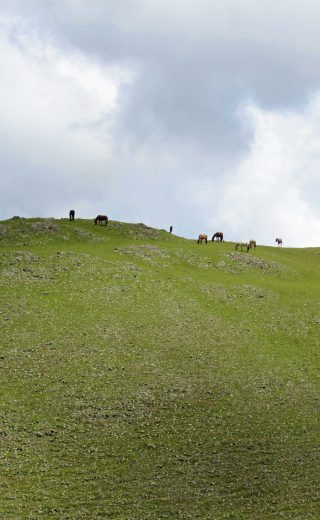 la-cienaga